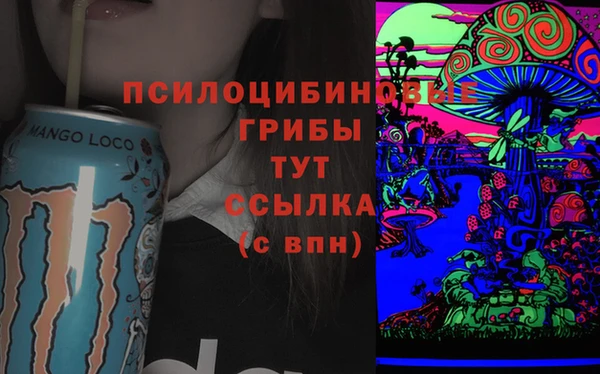 МДПВ Верхний Тагил