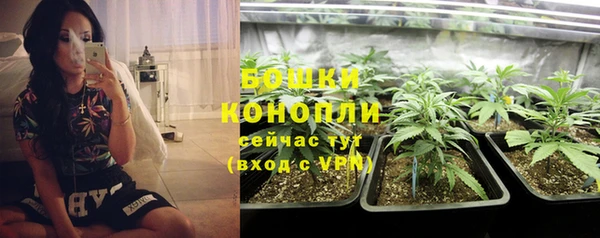 стаф Володарск