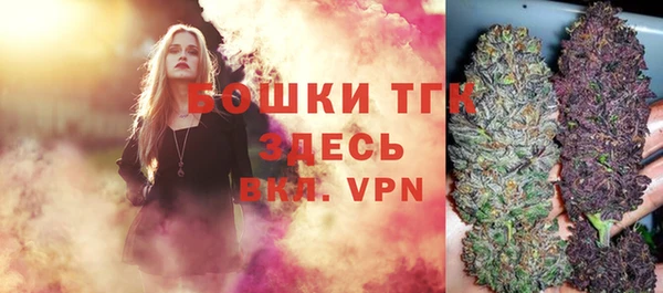МДПВ Верхний Тагил