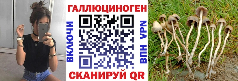 Псилоцибиновые грибы прущие грибы  Афипский 